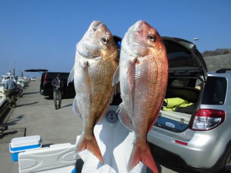 大進丸（新潟） 釣果