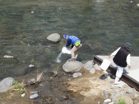 狩野川（狩野川漁業協同組合） 釣果