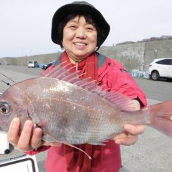 大進丸（新潟） 釣果