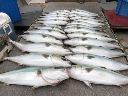 幸風（さちかぜ） 釣果