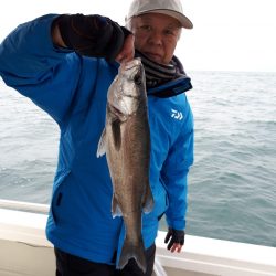 釣り船くわだ 釣果