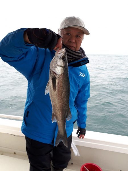 釣り船くわだ 釣果