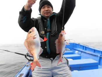 鯛紅丸 釣果