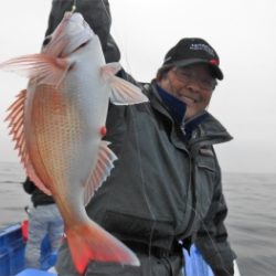 鯛紅丸 釣果