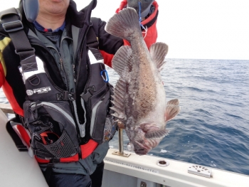 鯛紅丸 釣果