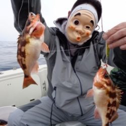 鯛紅丸 釣果