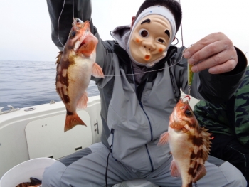 鯛紅丸 釣果