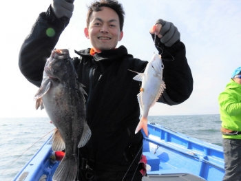 鯛紅丸 釣果