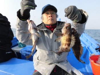 鯛紅丸 釣果