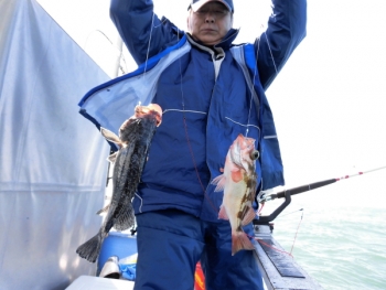 鯛紅丸 釣果