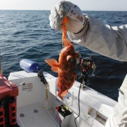 開進丸 釣果