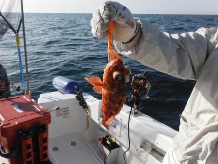 開進丸 釣果