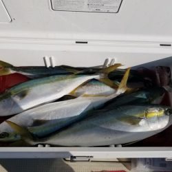 遊漁船　ニライカナイ 釣果