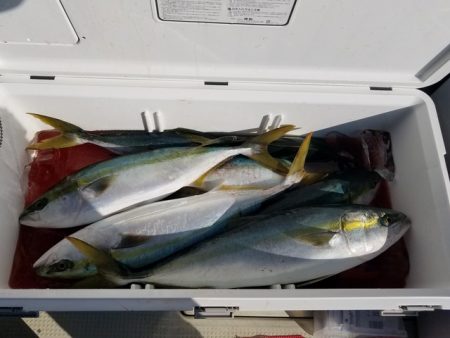 遊漁船　ニライカナイ 釣果