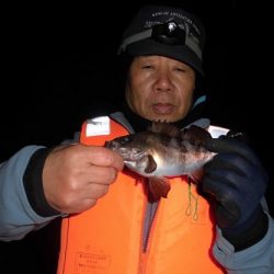 ルアー船マヒマヒ 釣果