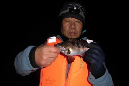 ルアー船マヒマヒ 釣果