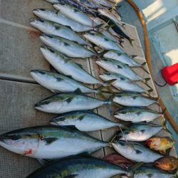 旭星釣りセンター 釣果