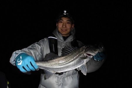 ルアー船マヒマヒ 釣果