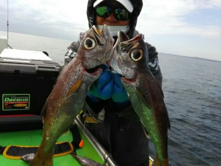 横内丸 釣果