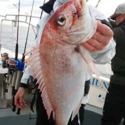 海運丸 釣果