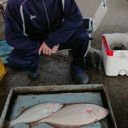 明神釣船 釣果