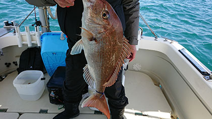 松本釣船２ 釣果