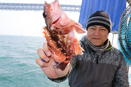 松本釣船２ 釣果