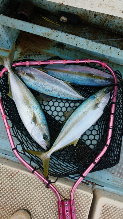 旭星釣りセンター 釣果