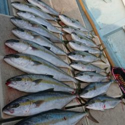 旭星釣りセンター 釣果