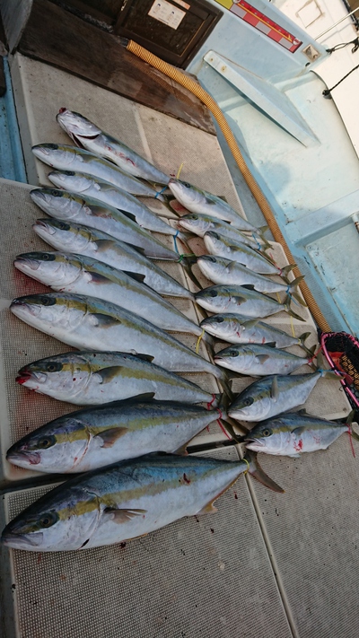 旭星釣りセンター 釣果