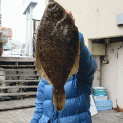 荒川屋 釣果