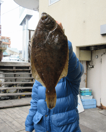 荒川屋 釣果