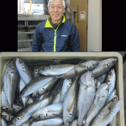 荒川屋 釣果