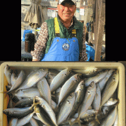 荒川屋 釣果