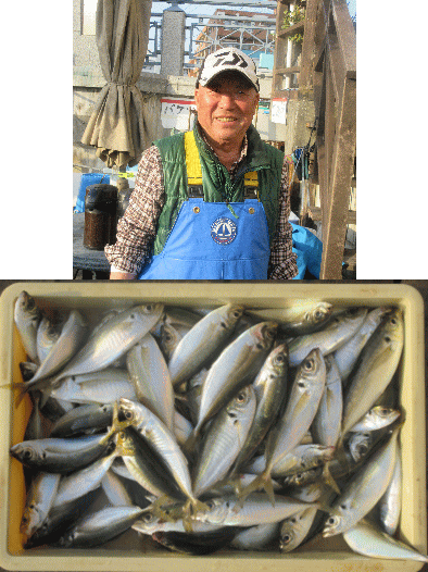 荒川屋 釣果