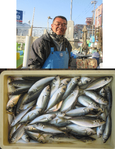 荒川屋 釣果