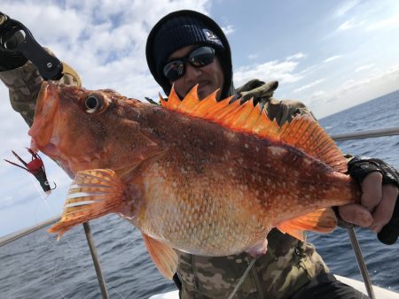 長栄丸(千葉) 釣果