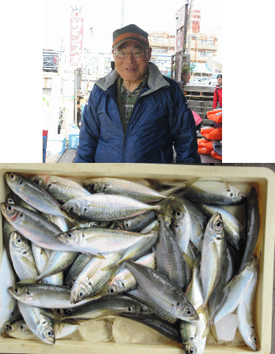 荒川屋 釣果