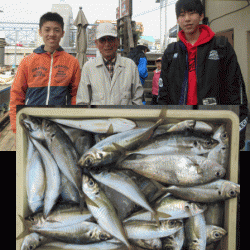 荒川屋 釣果