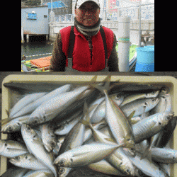 荒川屋 釣果