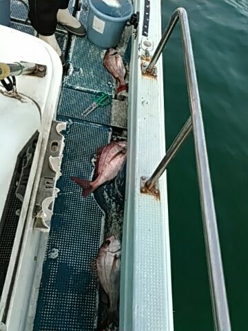 フィッシングガイド りょう 釣果