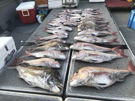 幸風（さちかぜ） 釣果