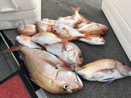 幸風（さちかぜ） 釣果