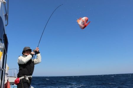 へいみつ丸 釣果