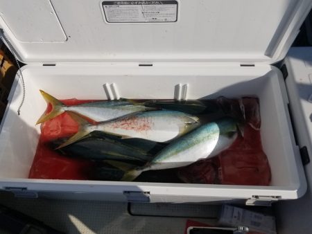 遊漁船　ニライカナイ 釣果