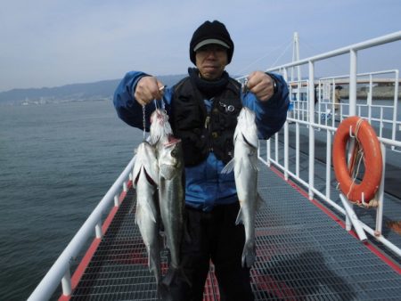 尼崎市立魚つり公園 釣果