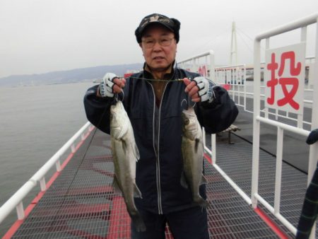 尼崎市立魚つり公園 釣果