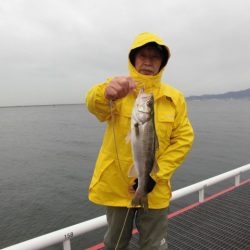 尼崎市立魚つり公園 釣果