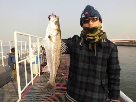 尼崎市立魚つり公園 釣果