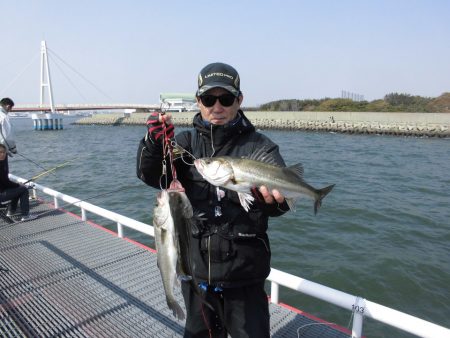 尼崎市立魚つり公園 釣果